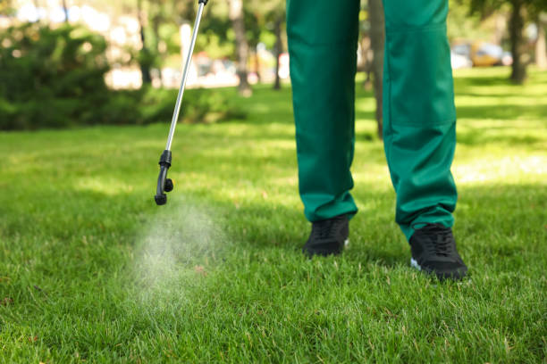 Best Emergency Pest Control  in Mcgraw, NY
